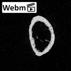 DV16-84 Homo sapiens hand phalanx first proximal right ct stack movie