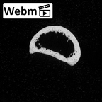 DV16-85 Homo sapiens hand phalanx second proximal right ct stack movie