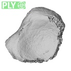 DV16-86 Homo sapiens hand phalanx second proximal left ply