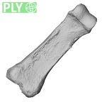 DV16-88 Homo sapiens hand phalanx third proximal right ply