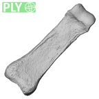DV16-89 Homo sapiens hand phalanx third proximal left ply