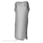 DV16-90 Homo sapiens hand phalanx fourth proximal right dorsal