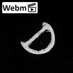 DV16-91 Homo sapiens hand phalanx fourth proximal left ct stack movie