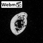 DV16-92 Homo sapiens hand phalanx fifth proximal right ct stack movie