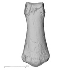 DV16-93 Homo sapiens hand phalanx fourth middle left dorsal