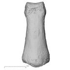 DV16-94 Homo sapiens hand phalanx fourth middle right dorsal