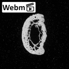 DV16-96 Homo sapiens hand phalanx third middle left ct stack movie