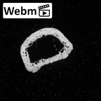 DV16-97 Homo sapiens hand phalanx second middle left ct stack movie