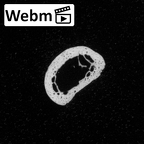 DV16-98 Homo sapiens hand phalanx second middle right ct stack movie