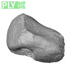 DV3-73 Homo sapiens triquetrum left ply