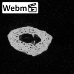 DV34 Homo sapiens hand phalanx third proximal right ct stack movie