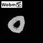 DV58 Homo sapiens metacarpal third left ct stack movie