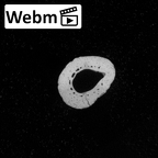 DV60 Homo sapiens metacarpal fifth right ct stack movie
