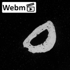 DV61 Homo sapiens hand phalanx third proximal right ct stack movie