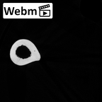 DV13-103 Homo sapiens femur right ct stack movie