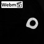 DV13-104 Homo sapiens femur left ct stack movie