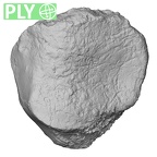 DV13-105 Homo sapiens patella right ply