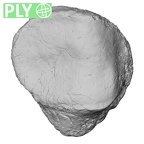 DV13-106 Homo sapiens patella left ply