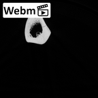 DV13-107 Homo sapiens tibia right ct stack movie