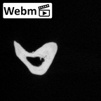 DV13-109 Homo sapiens fibula right ct stack movie