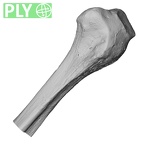 DV13-109 Homo sapiens fibula right proximal ply