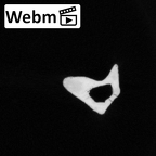 DV13-110 Homo sapiens fibula left ct stack movie