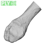 DV13-110 Homo sapiens fibula left distal ply