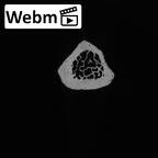 DV13-110 Homo sapiens fibula left proximal ct stack movie