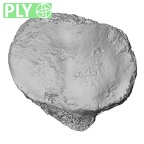 DV14-129 Homo sapiens patella left ply