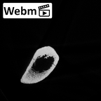 DV14-131 Homo sapiens tibia left ct stack movie