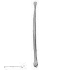DV14-132 Homo sapiens fibula right medial