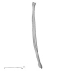 DV14-133 Homo sapiens fibula left anterior