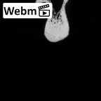 DV14-133 Homo sapiens fibula left ct stack movie