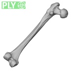 DV15-123 Homo sapiens femur left ply