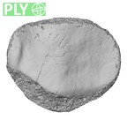 DV15-124 Homo sapiens patella right ply