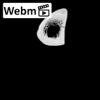 DV15-126 Homo sapiens tibia right ct stack movie