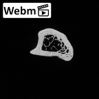 DV15-129 Homo sapiens fibula left proximal ct stack movie