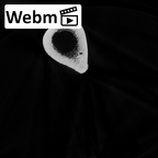 DV16-114 Homo sapiens femur left ct stack movie