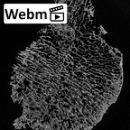DV16-115 Homo sapiens femur proximal ct stack movie