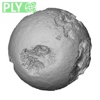 DV16-115 Homo sapiens femur proximal ply