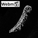 DV16-119 Homo sapiens tibia right distal epiphysis ct stack movie
