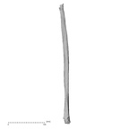 DV16-122 Homo sapiens fibula left anterior