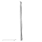 DV16-122 H. sapiens fibula left