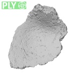 DV16-156 Homo sapiens tibia left proximal ply