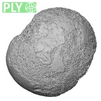 DV20 Homo sapiens femur proximal ply