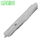 DV42 Homo sapiens fibula right ply