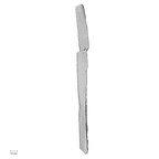 DV48 H. sapiens fibula right