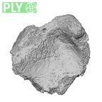 DV55 Homo sapiens tibia right distal ply