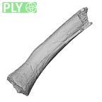 DV64 Homo sapiens tibia ply