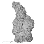 DV14-181 Homo sapiens bone fragment view 1